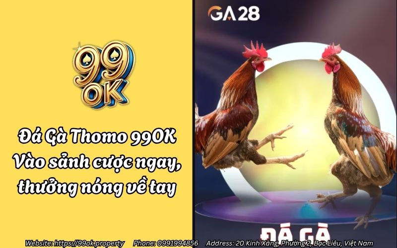 Đá Gà Thomo 99OK - Vào sảnh cược ngay, thưởng nóng về tay